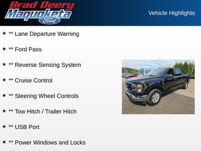 2023 Ford F-150 XLT