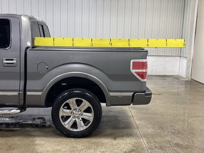 2013 Ford F-150 PLATINUM