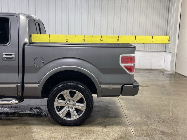 2013 Ford F-150 PLATINUM