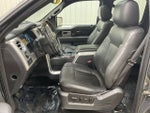 2013 Ford F-150 PLATINUM