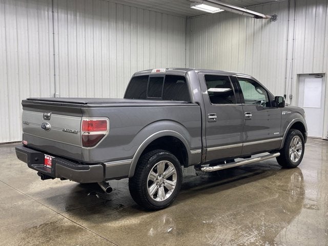 2013 Ford F-150 PLATINUM